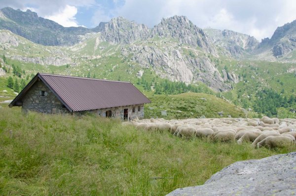 Malga Ravetta di Sopra
