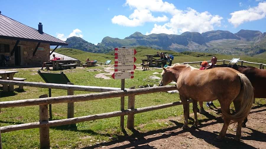 Malga
