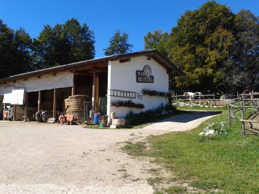 Malga