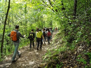 Racconto itinerante
Edizione 2014