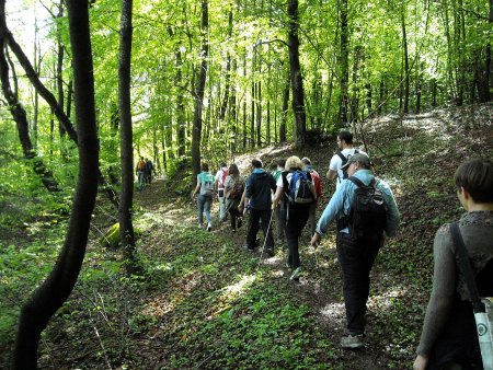 /special/ma-2014-racconto-itinerante/sentiero-nel-bosco/image.jpg