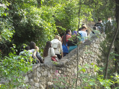 /special/ma-2015/racconto-itinerante-2015/scalinata-1.jpg
