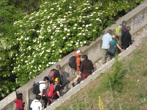 Racconto itinerante
Edizione 2015