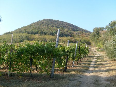 Monte_cinto