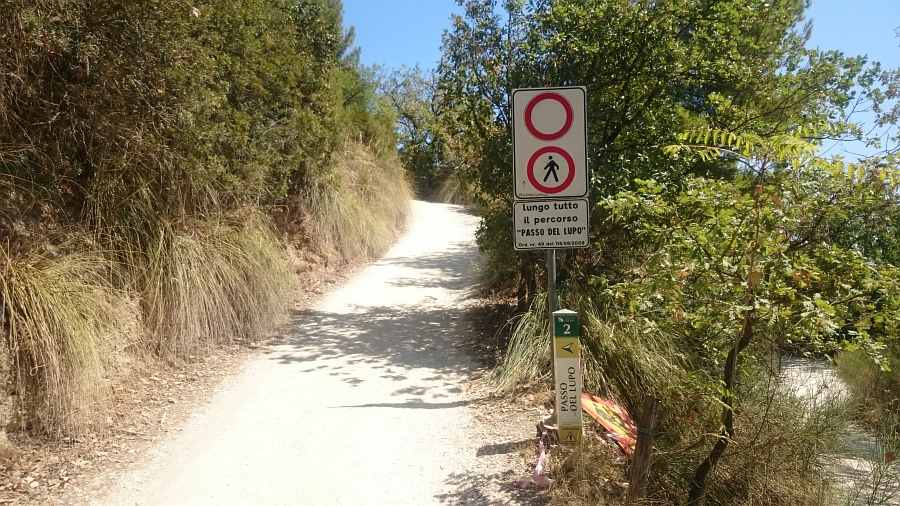 Indicazioni
