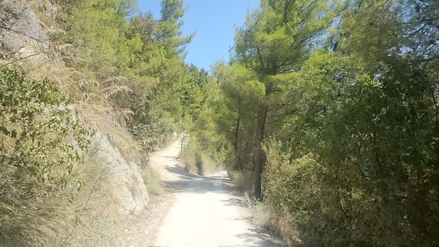 Indicazioni