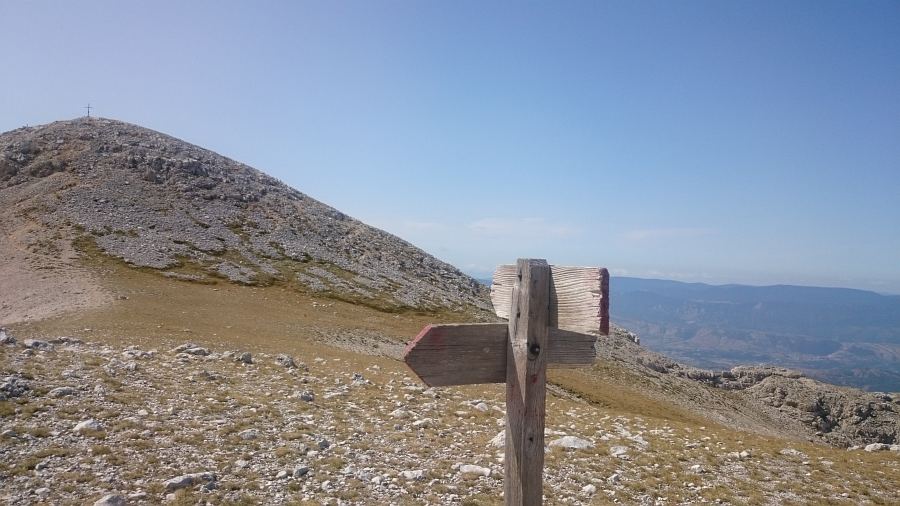 Indicazioni