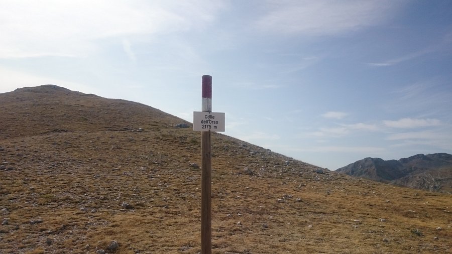 Indicazioni