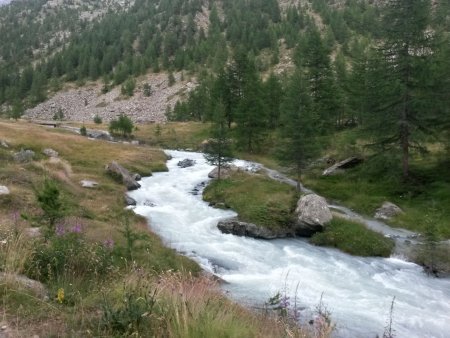 20150730_183714_Richtone(HDR)
20150730_183714_Richtone(HDR)