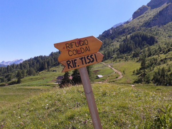 Indicazioni