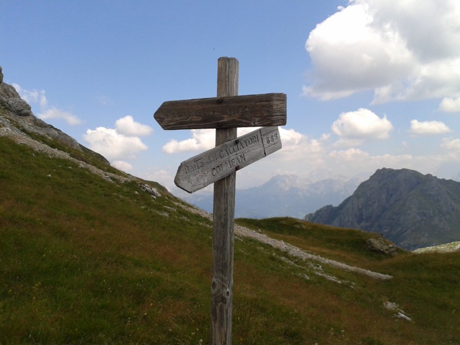 Indicazioni