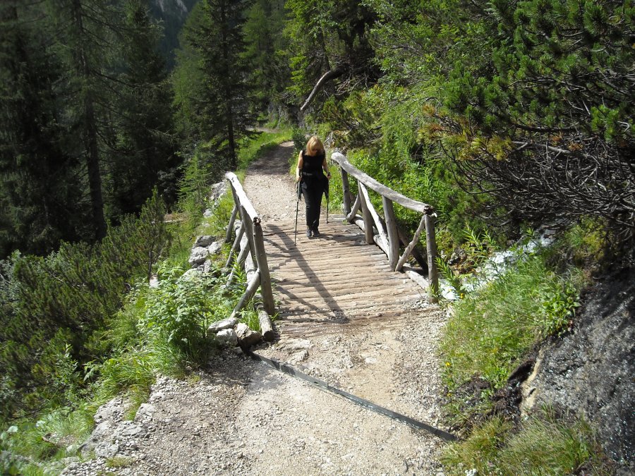 Ponte