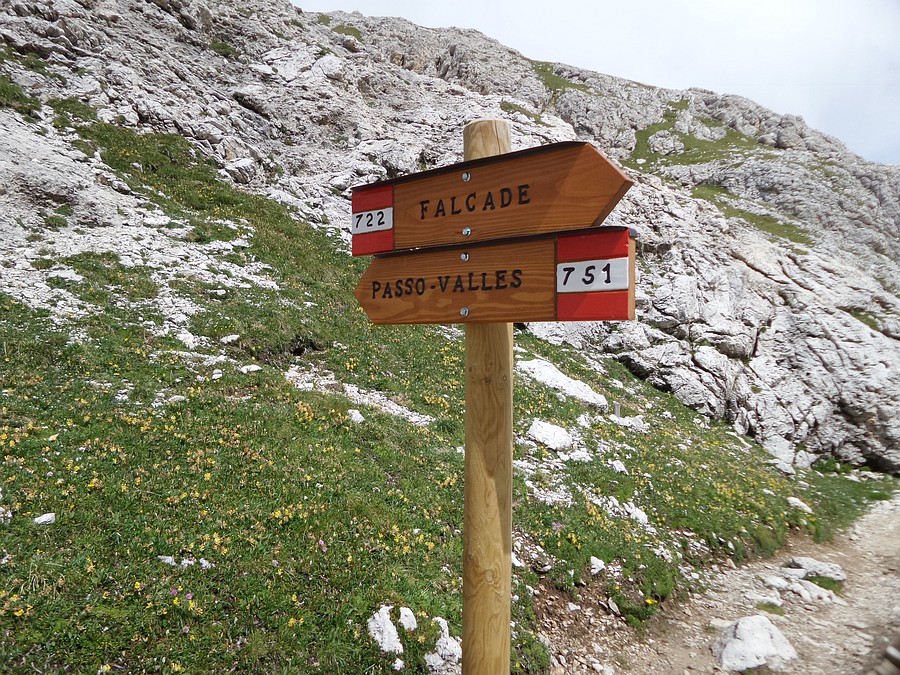 Indicazioni
