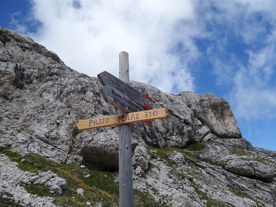 Indicazioni