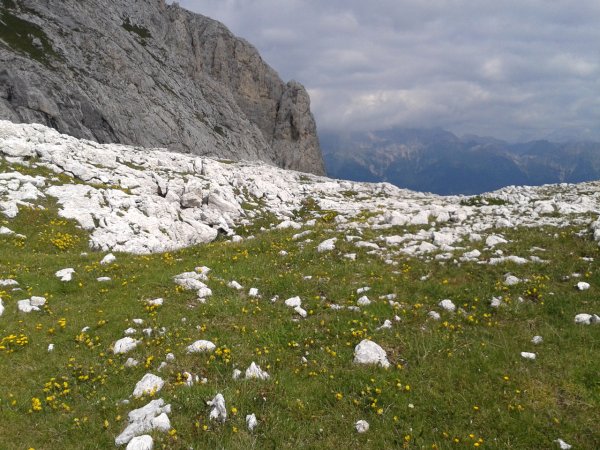 Passo