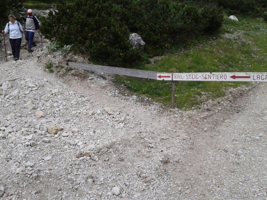 Indicazioni
