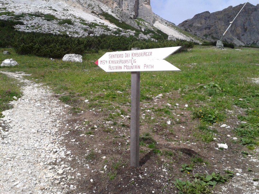 Indicazioni