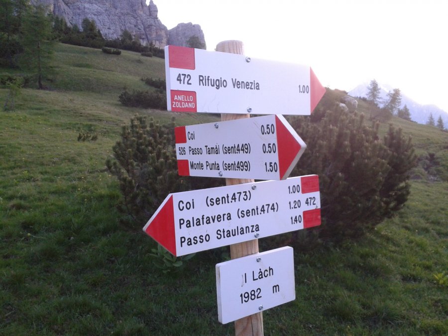Indicazioni