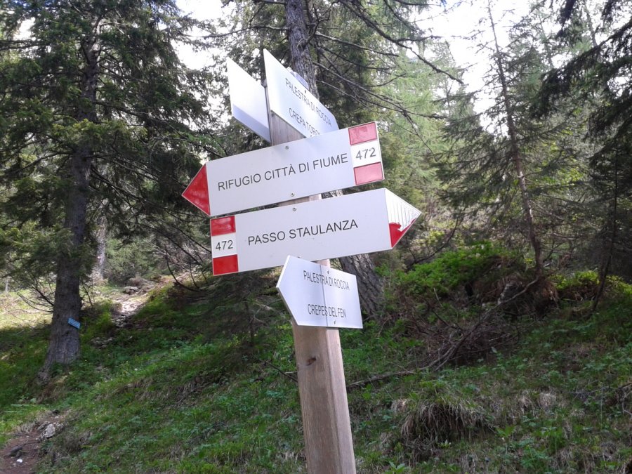 Indicazioni