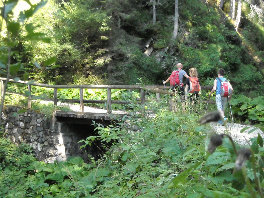 Ponte