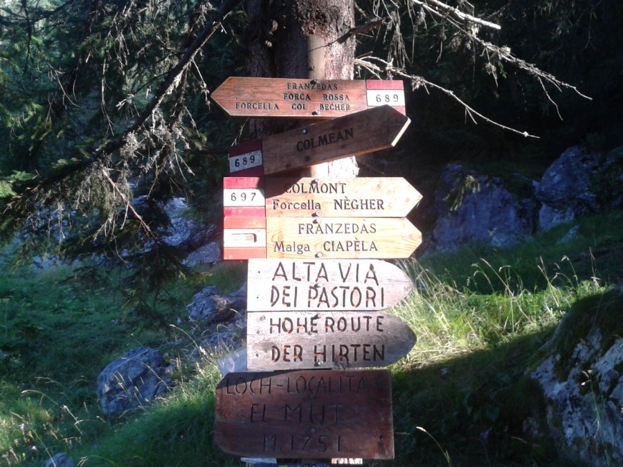 Indicazioni