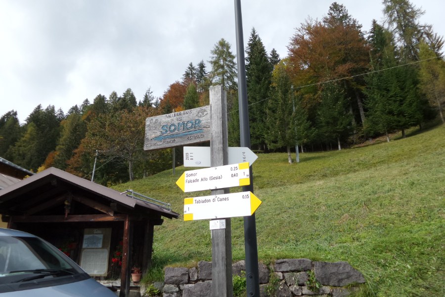 Indicazioni