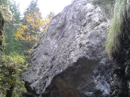 /treks/europe/it/bl/val-biois/val-gares/appigli-sotto-il-muschio/sass-dei-vedei/image.jpg