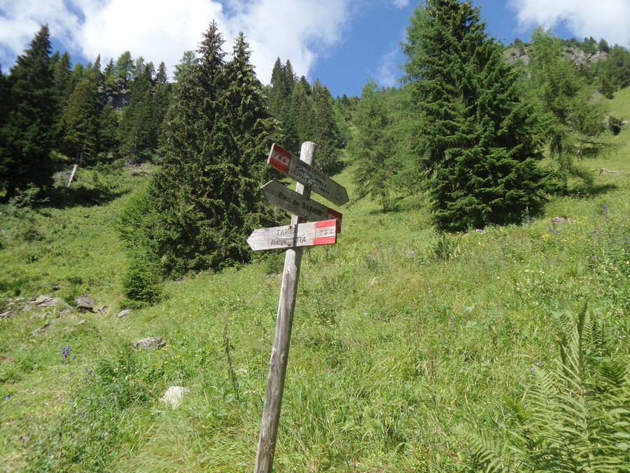 Indicazioni