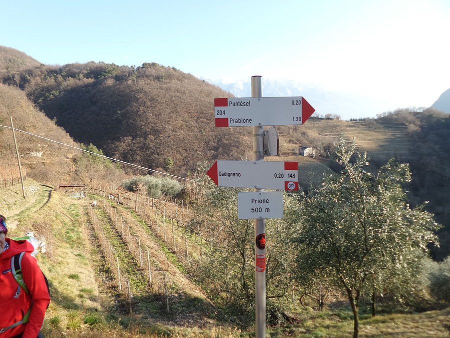 Indicazioni