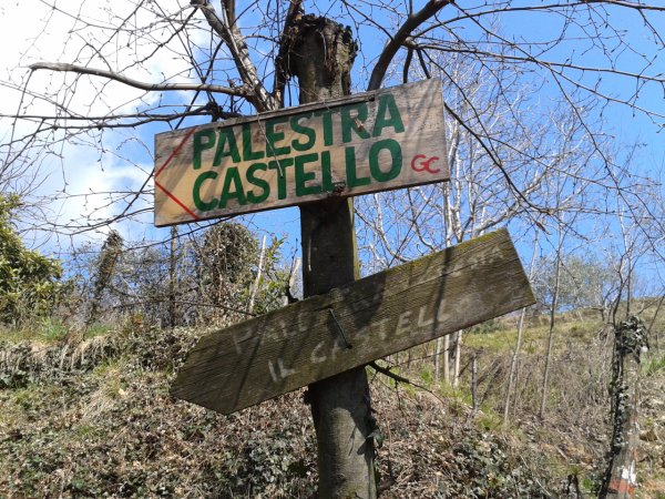 Indicazioni