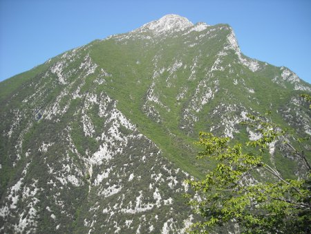 Monte Pizzoccolo