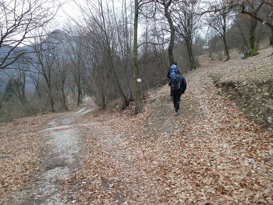 Indicazioni