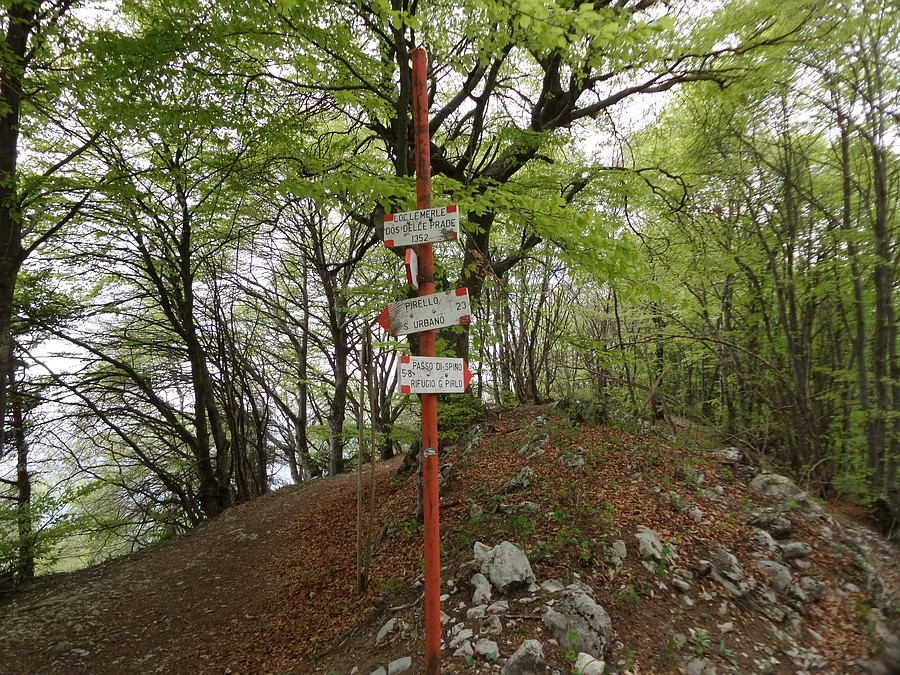 Indicazioni