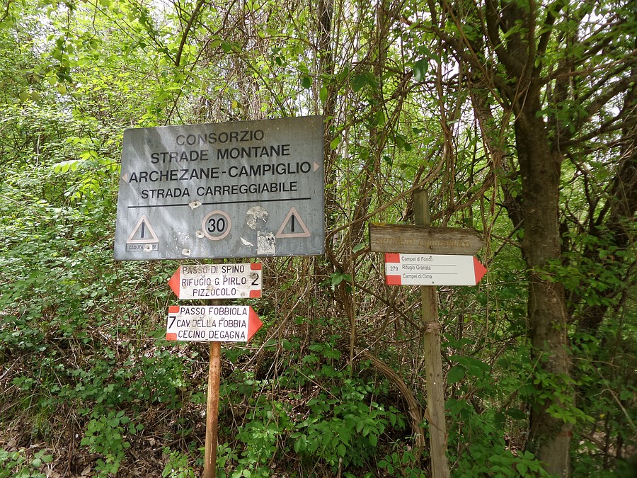 Indicazioni