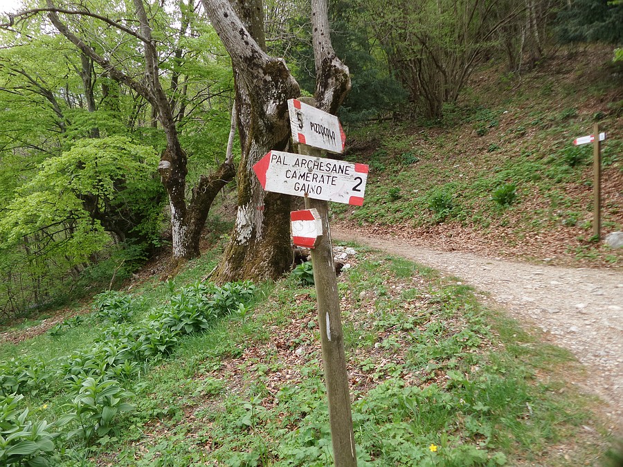 Passo
