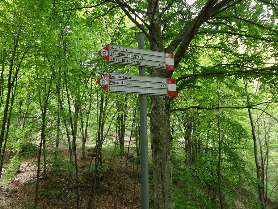 Indicazioni