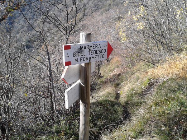 Indicazioni