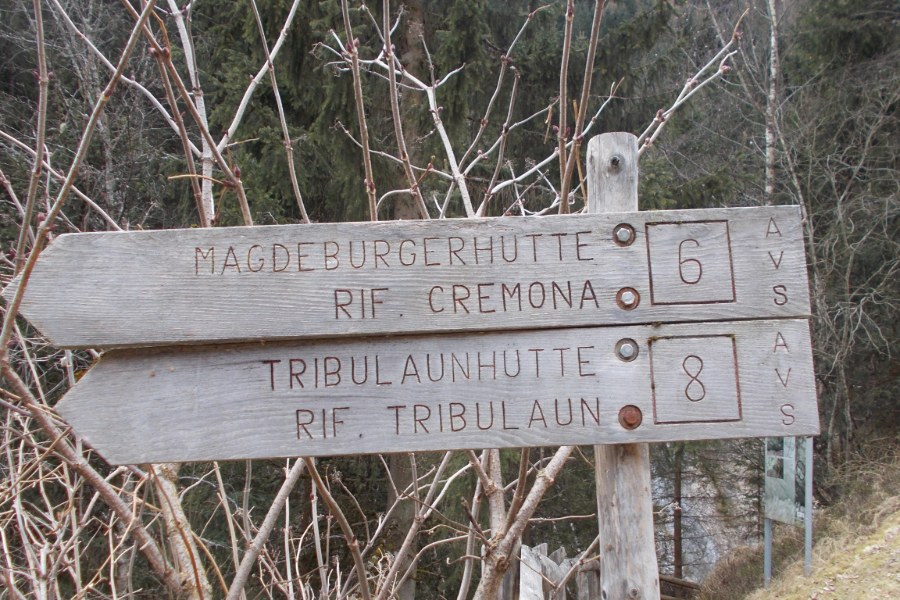 Indicazioni