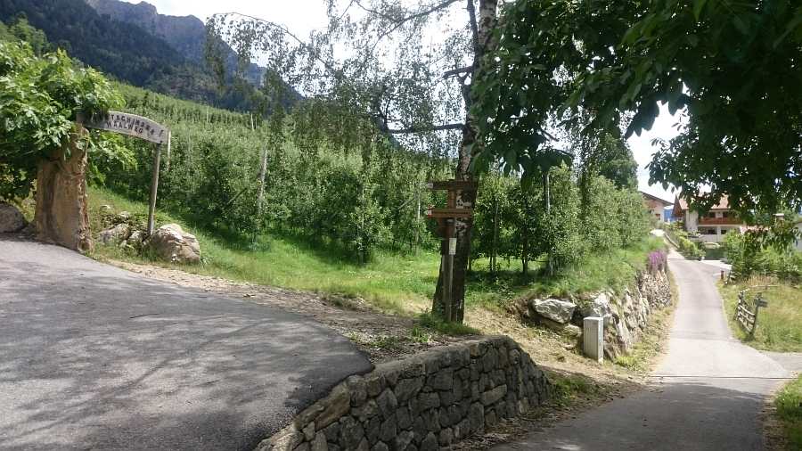 Indicazioni