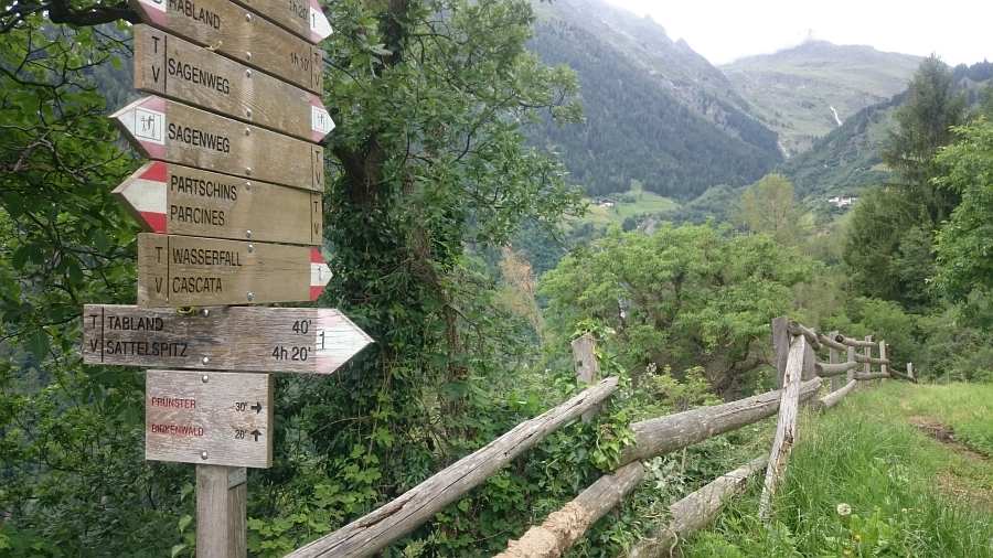 Indicazioni
