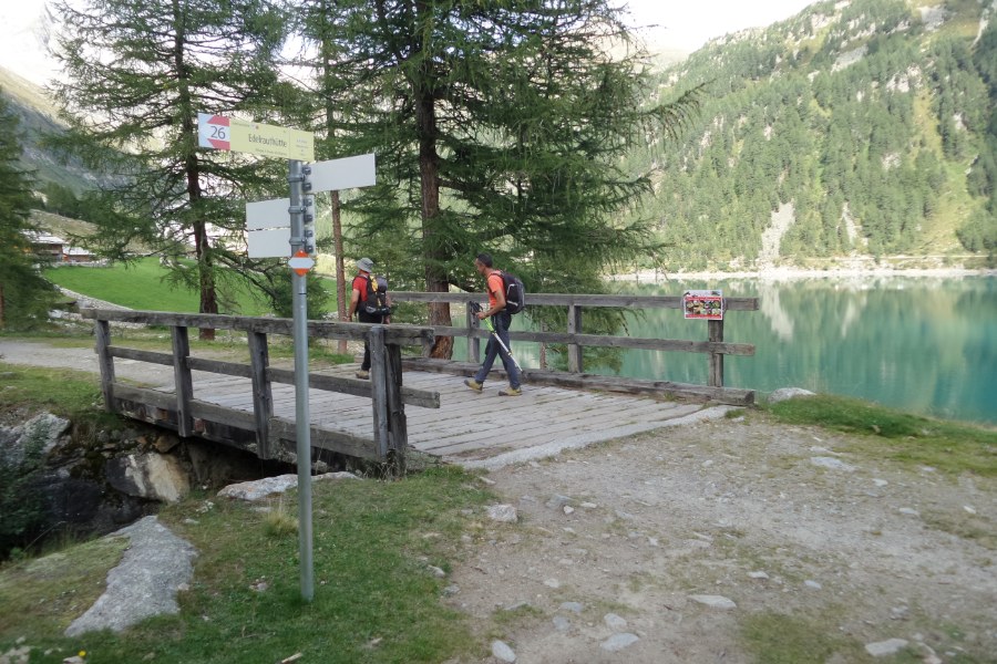 Indicazioni