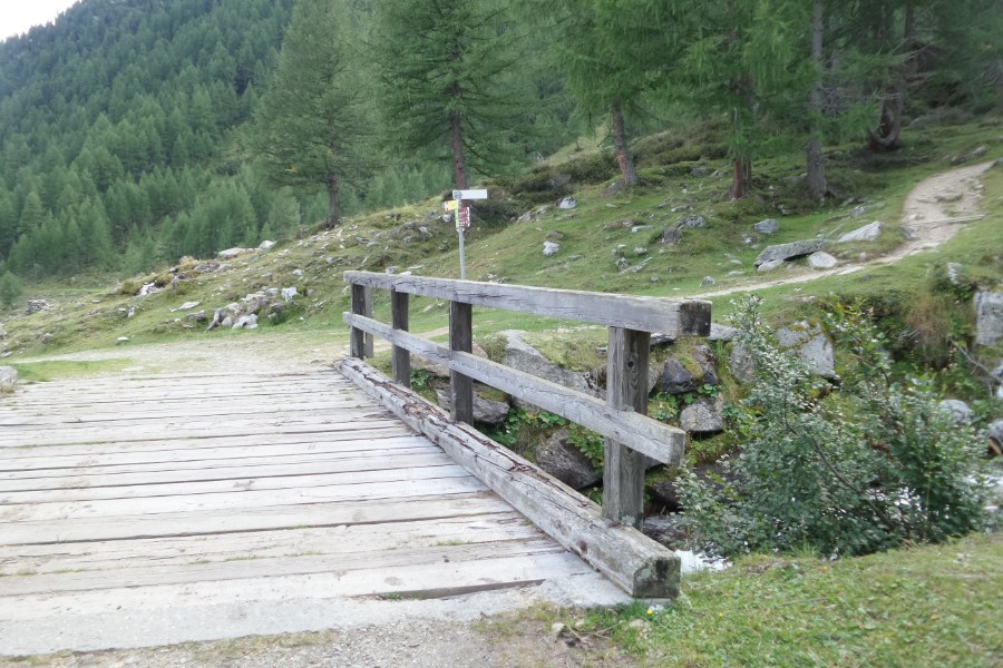 Ponte