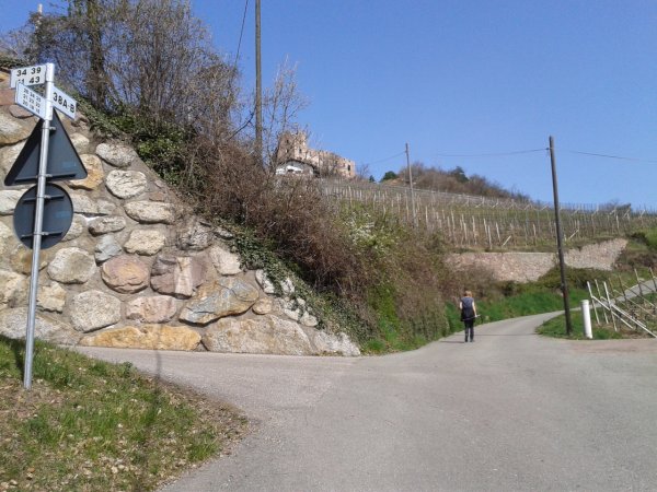 Bivio stradale