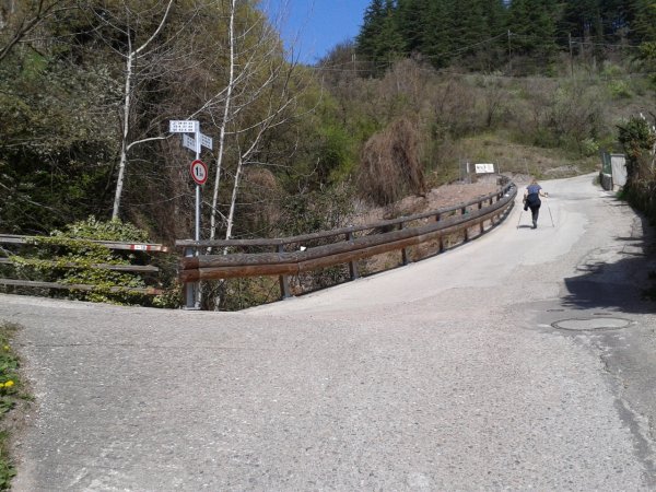 Bivio stradale