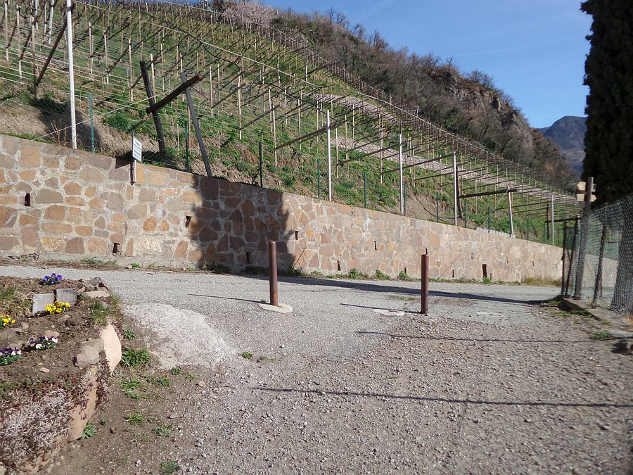 Bivio stradale