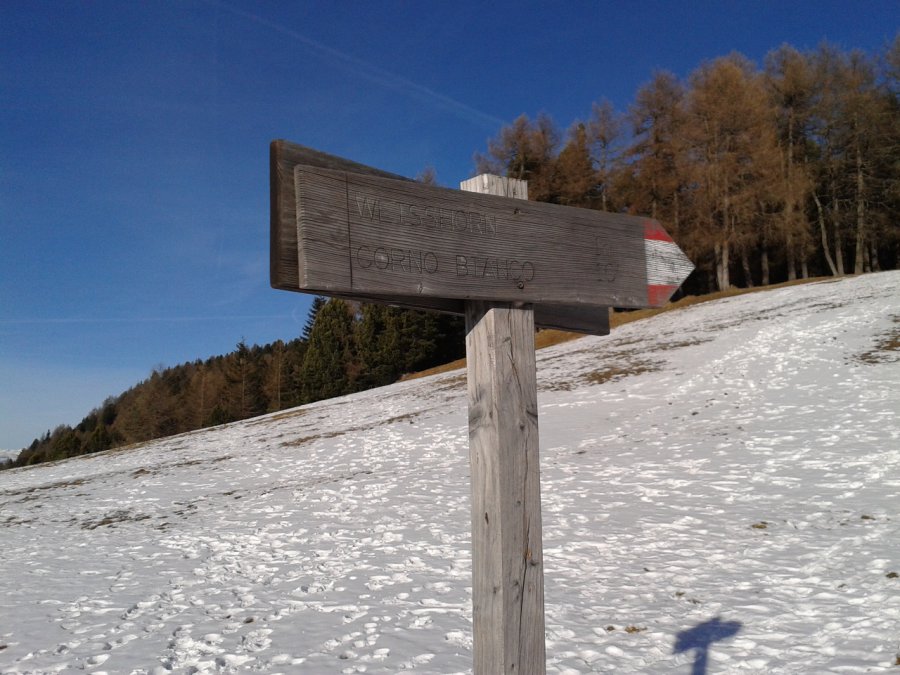Indicazioni