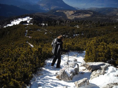 /treks/europe/it/bz/dolomiti-fiemme/altopiano-nova-ponente/corno-bianco/dscn7721/image.jpg