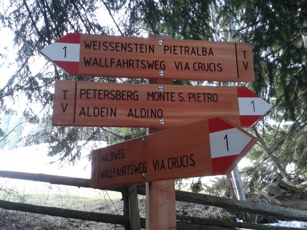Indicazioni