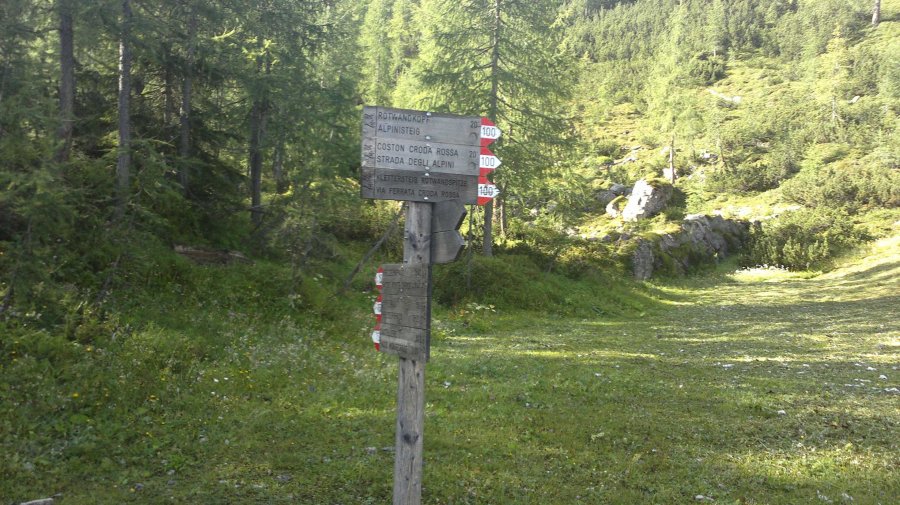 Indicazioni