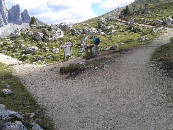 Indicazioni